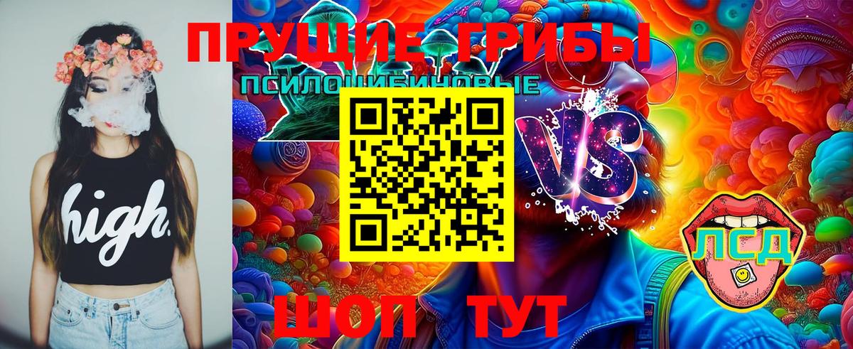 Приморско-Ахтарск  Галлюциногенные грибы Psilocybine cubensis  Вход с VPN  Псилоцибиновые грибы мухоморы 
